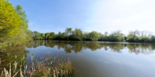 Shillinglee fishery